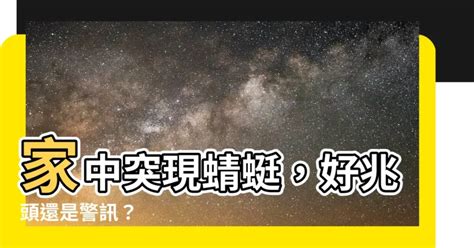 蜻蜓來家裡|【家裡出現蜻蜓代表什麼】家中突現蜻蜓，好兆頭還是警訊？